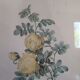 Lithographie rosier jaune de soufre P.J-Redouté