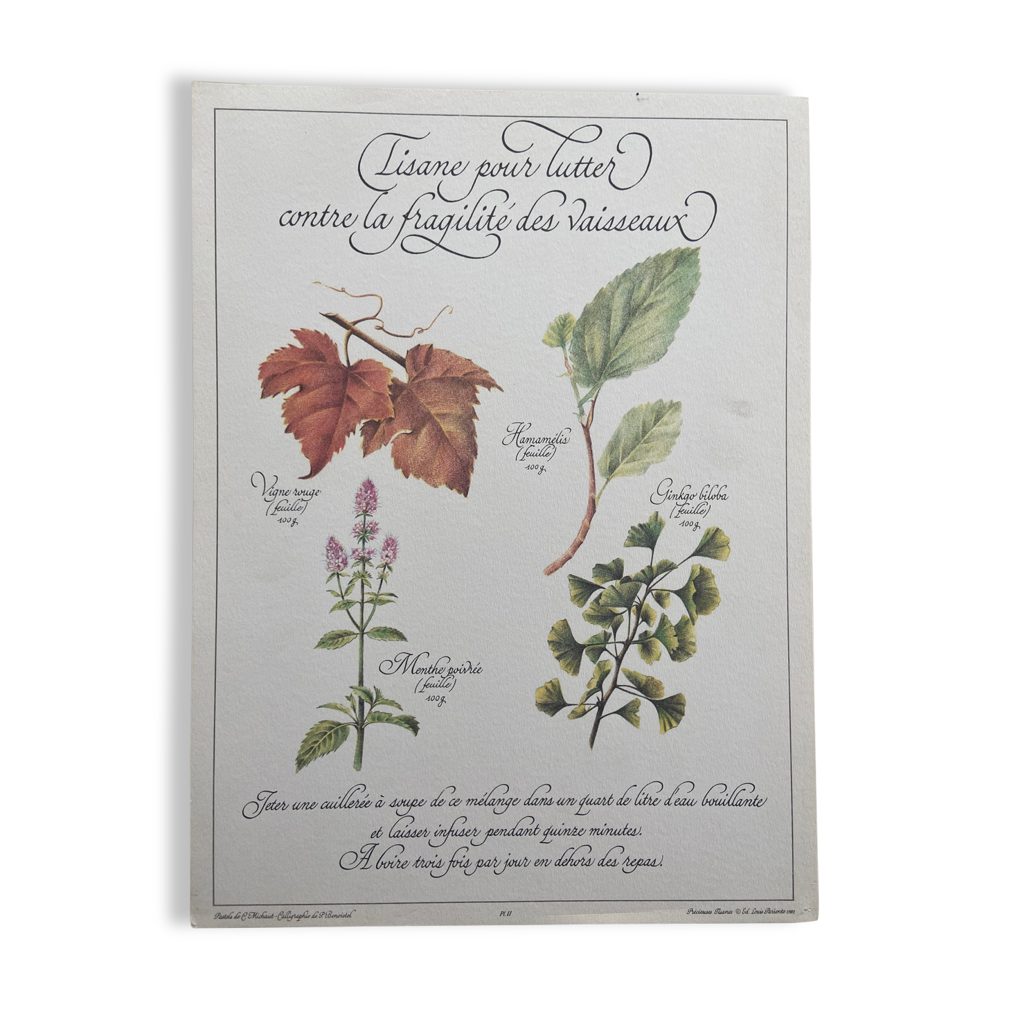 Botanical plank "Tisane to combat the fragility of the vessels"