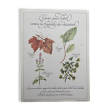Botanical plank "Tisane to combat the fragility of the vessels"