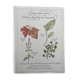 Botanical plank "Tisane to combat the fragility of the vessels"