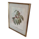Framed bird engraving