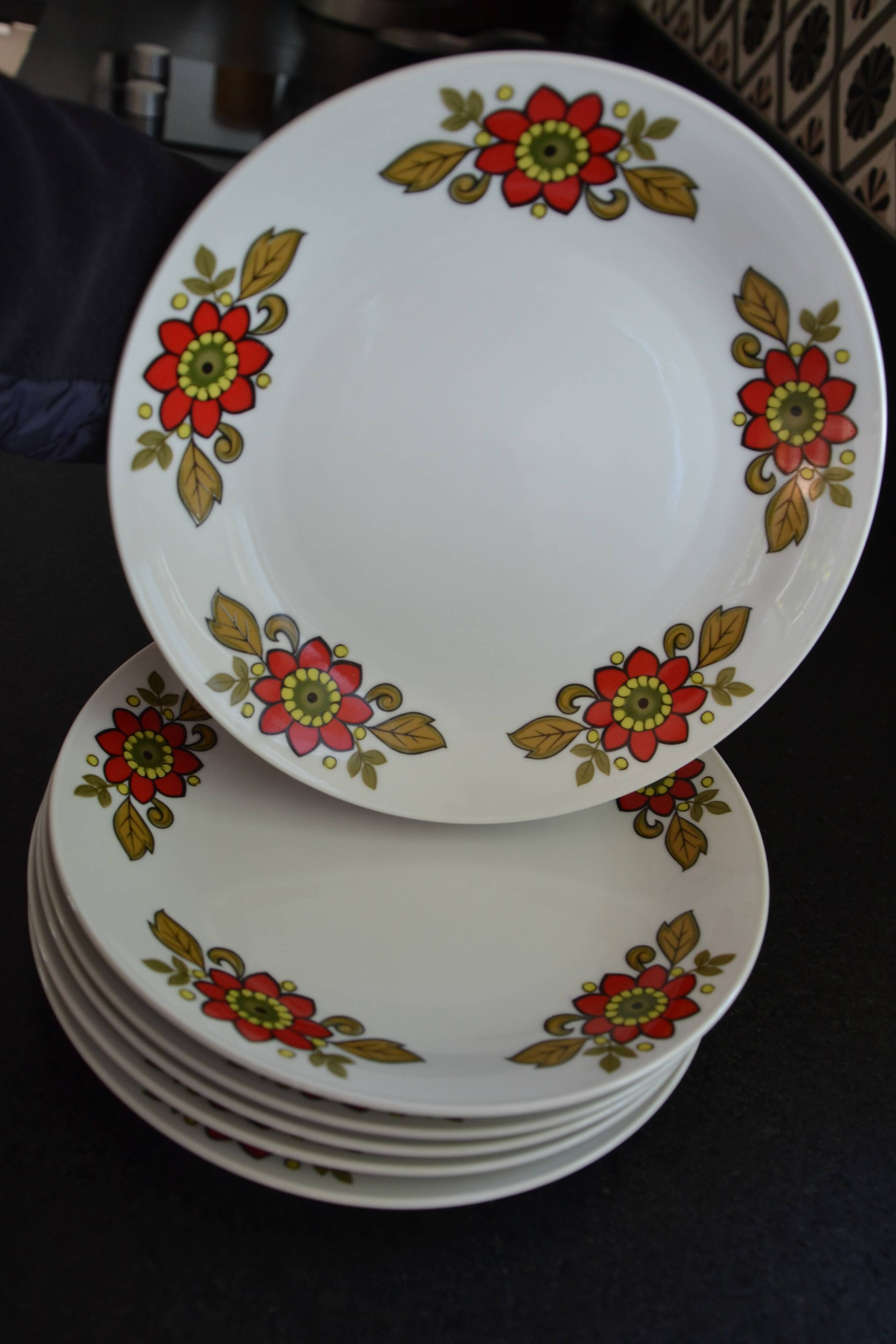 6 Bavaria W Germany floral dinner plates