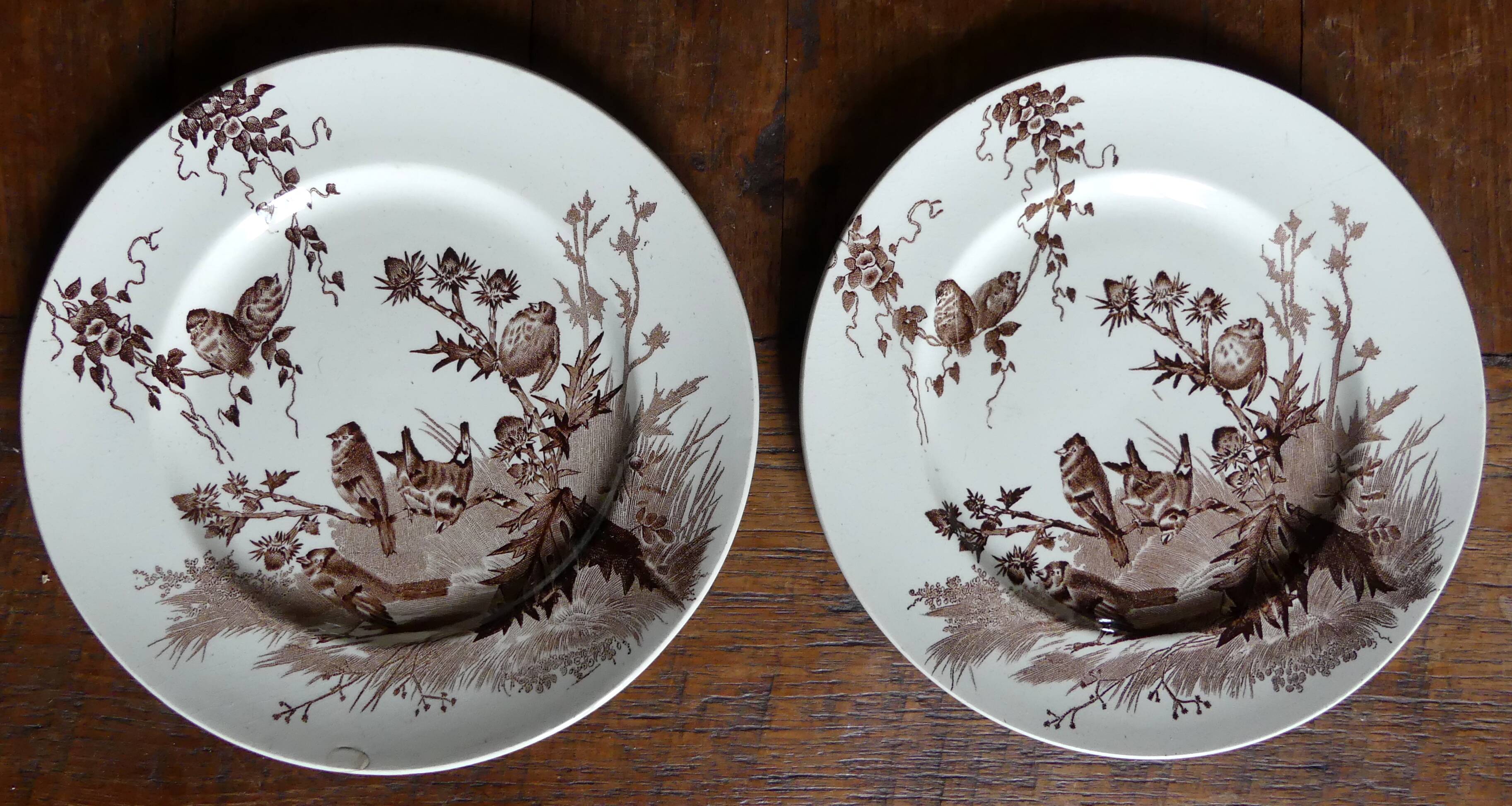 2 assiettes anciennes Creil & Montereau Service Chardonneret oiseaux**8 autres dispos
