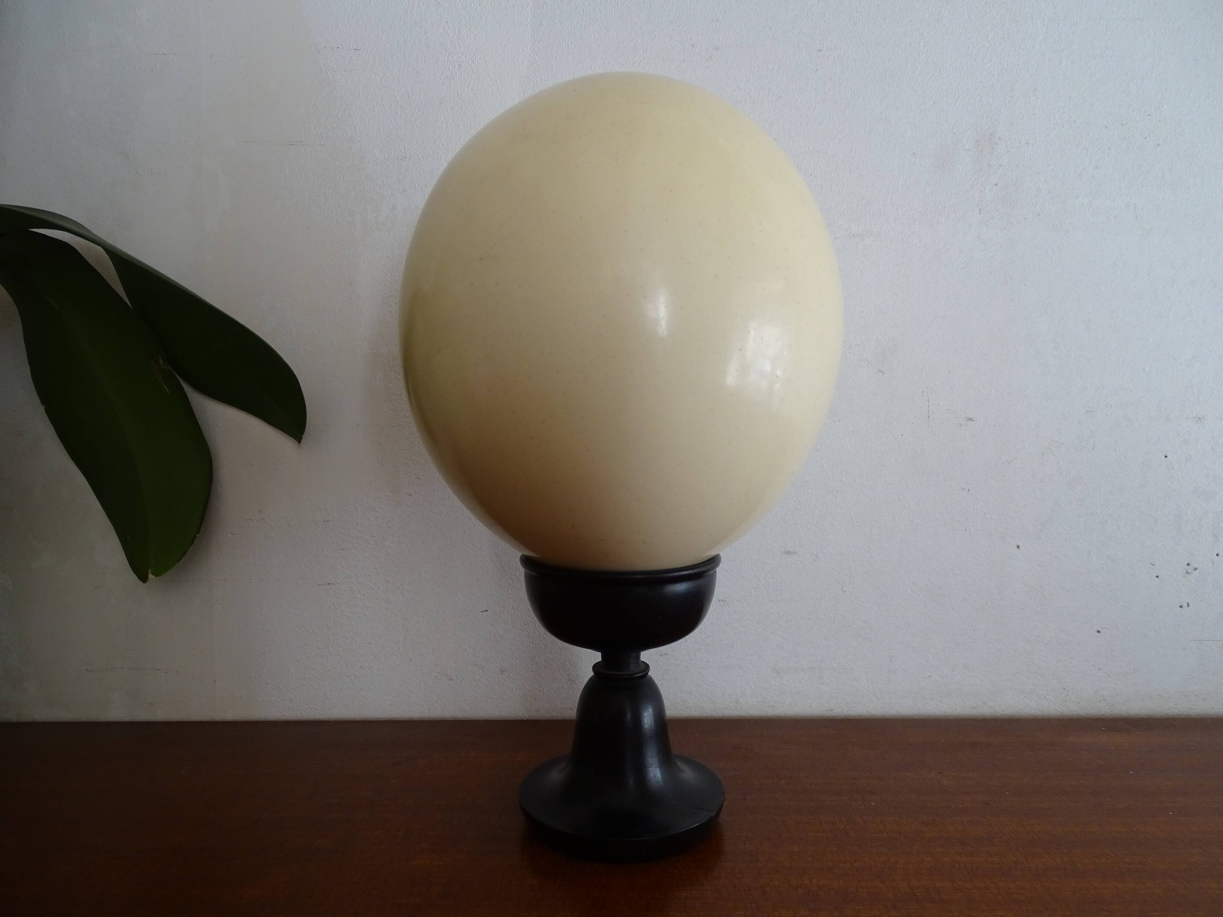 Ostrich egg on blackened wooden base - object of curiosity