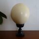 Ostrich egg on blackened wooden base - object of curiosity