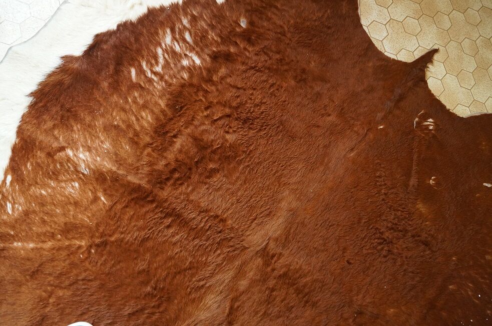 Rug cow skin 1960
