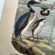 Engraving from 1886. Seabirds. Antique lithograph.