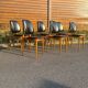 Set of 6 Baumann Pegasus chairs
