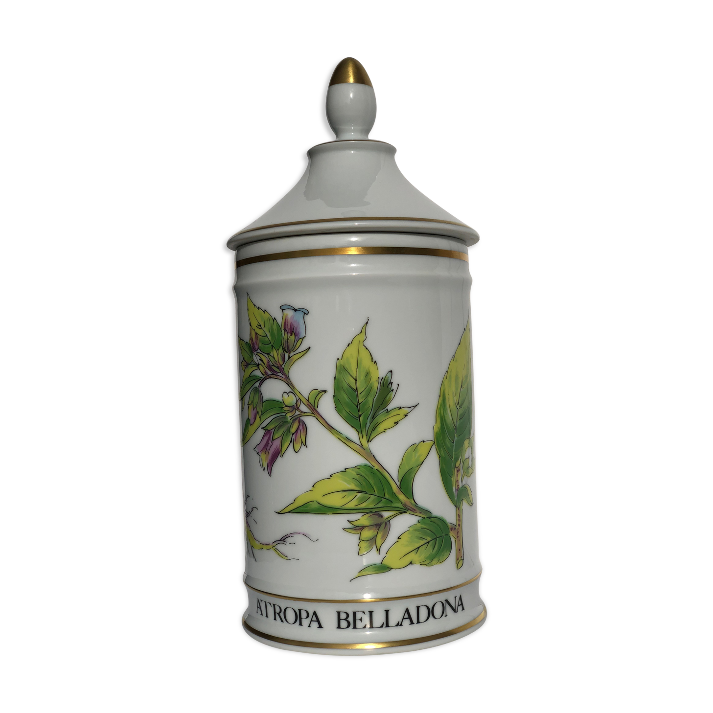Pharmacy pot "Atropa belladona"