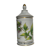 Pharmacy pot "Atropa belladona"