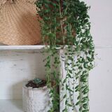 Old patinated wooden shelf