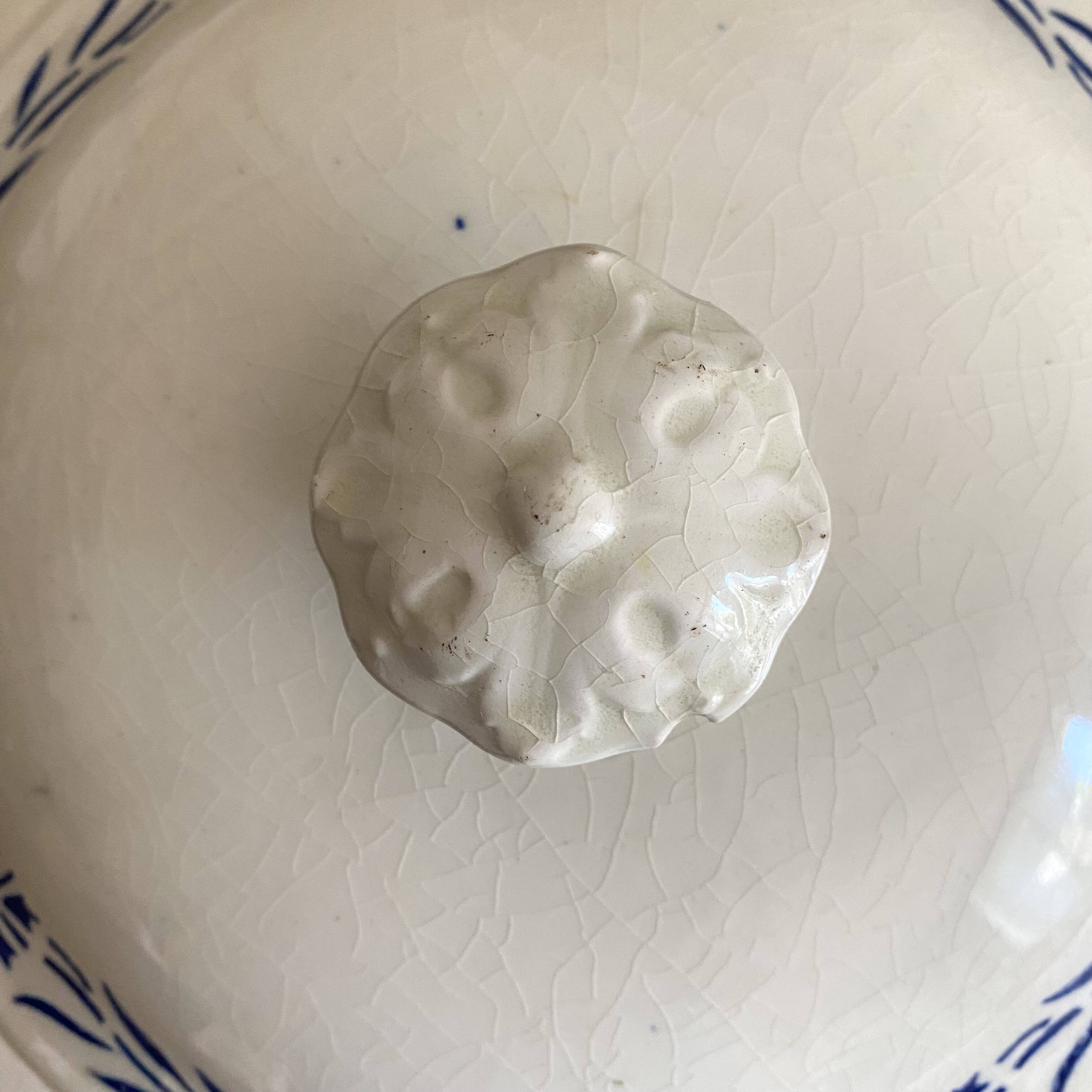 Grande soupière ancienne Sainte Uze