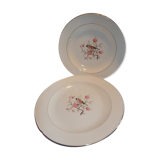 Lot 2 saline dishes France