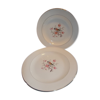 Lot 2 saline dishes France