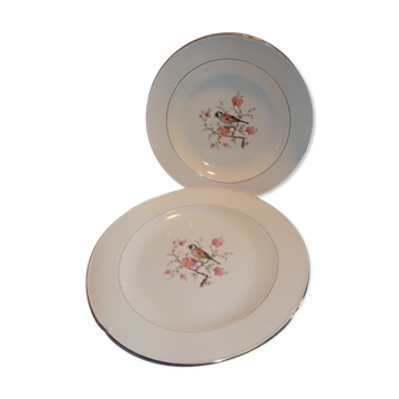 Lot 2 plats salins France