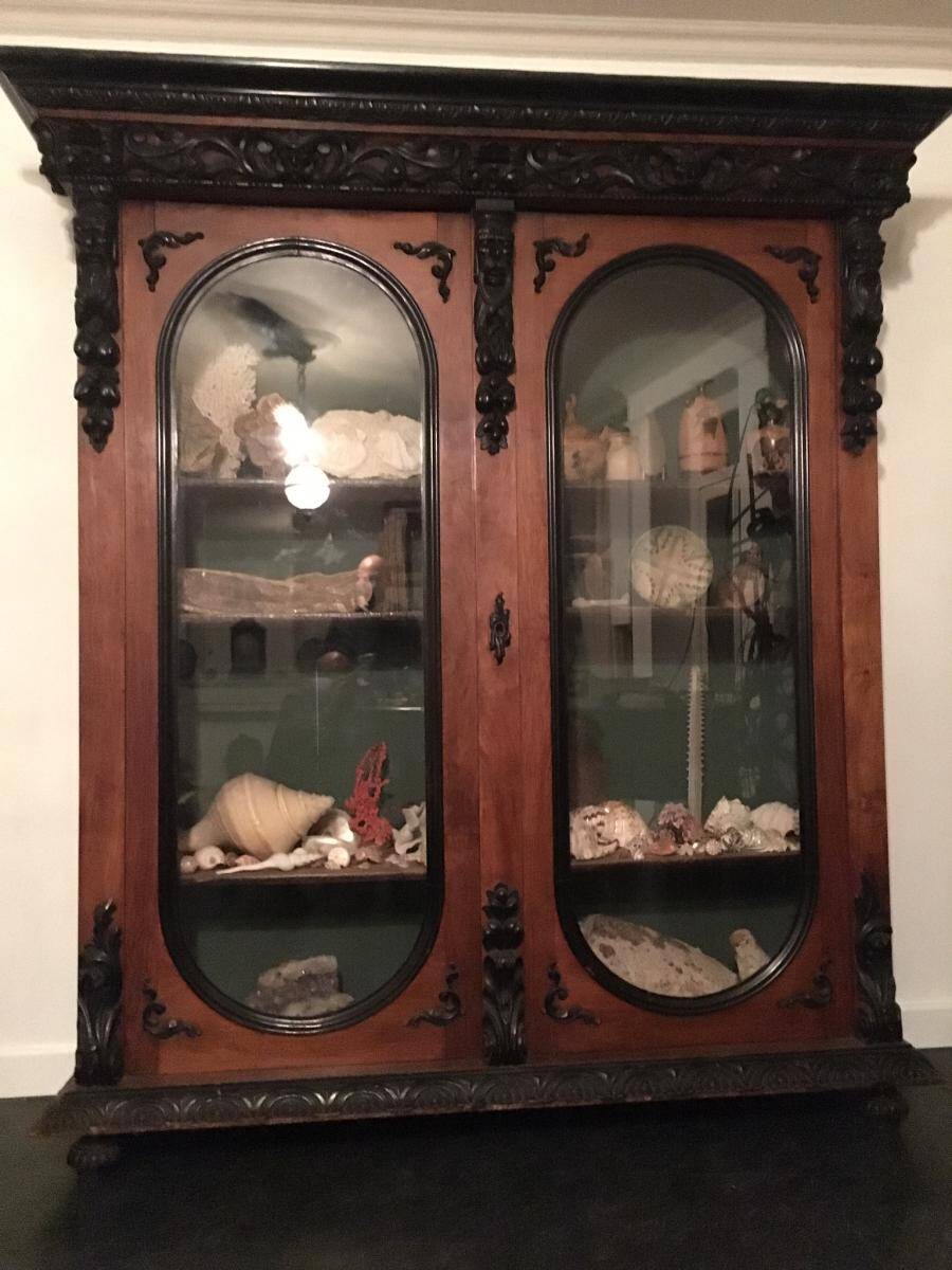 Large display cabinet in walnut veneer and blackened wood, 19th century.