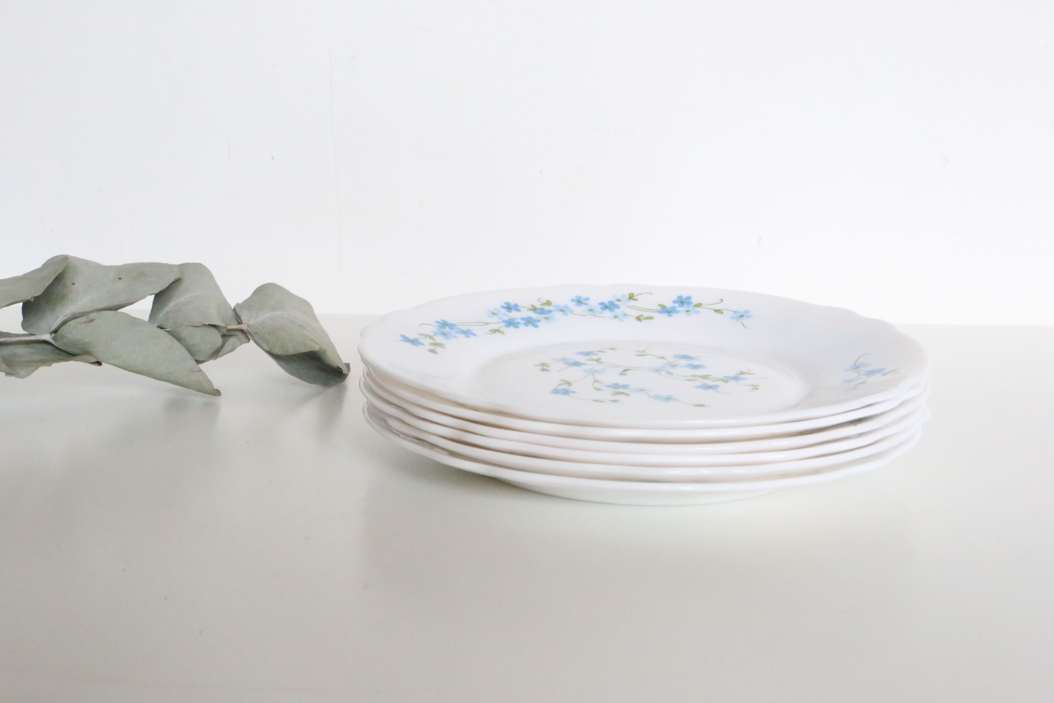 Dessert plates 6 Arcopal, Veronica pattern