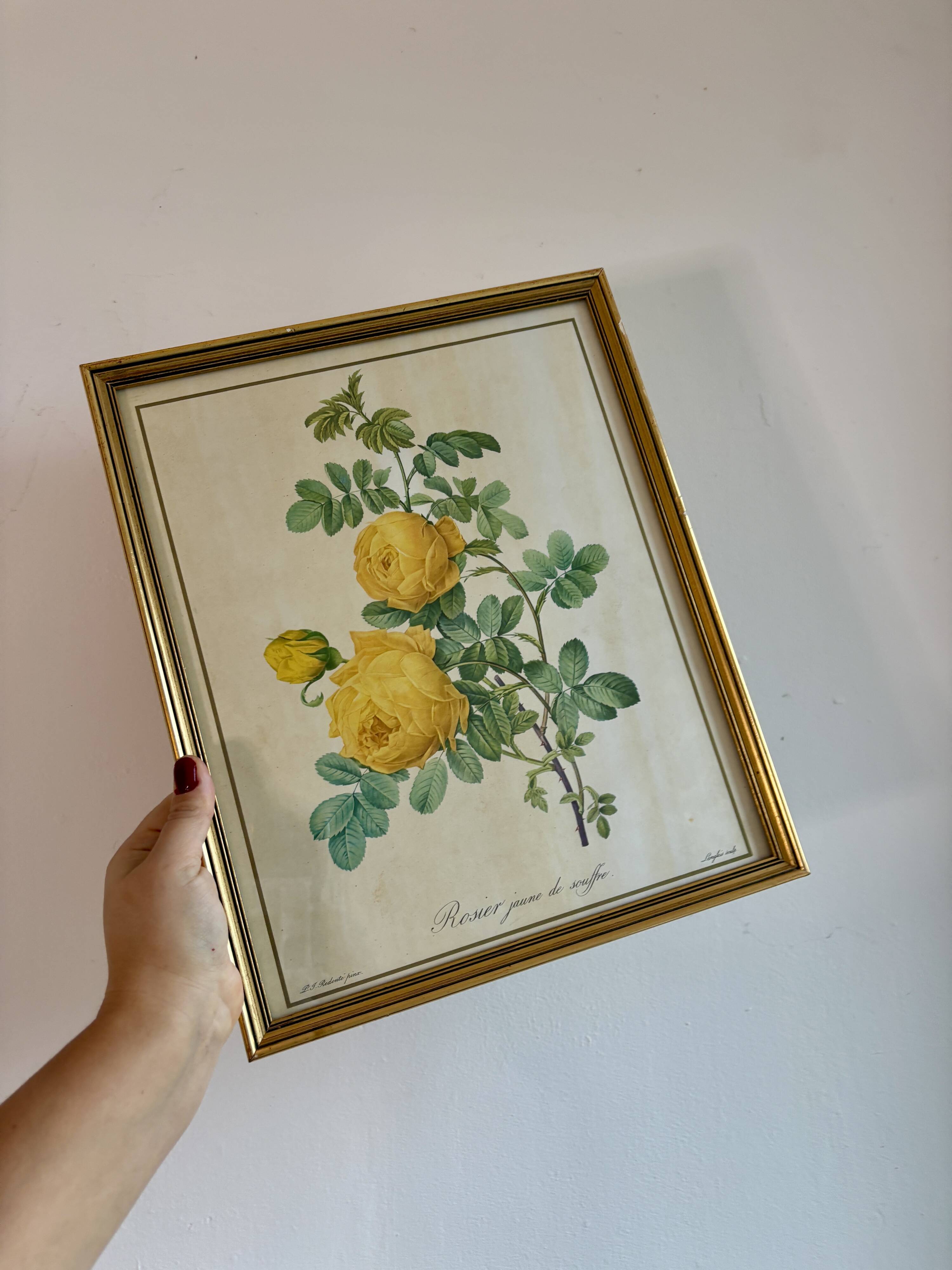 Old frame pink yellow Dreaded