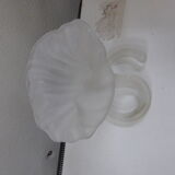 Former corolla, frosted glass vase