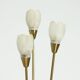 Brushed Brass and Glass Table Lamp Germany 1970s