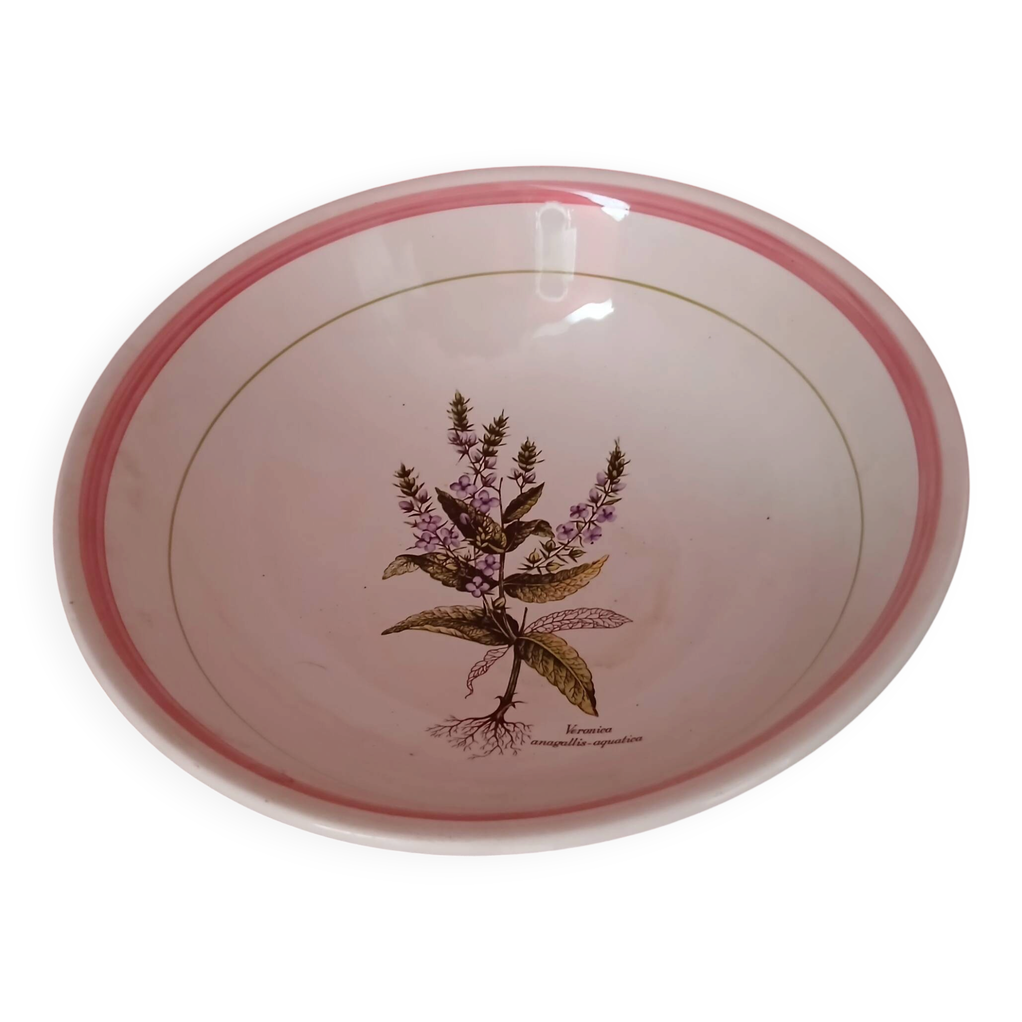 Large salad bowl