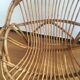 Shell rattan armchair