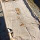 US folding camp bed