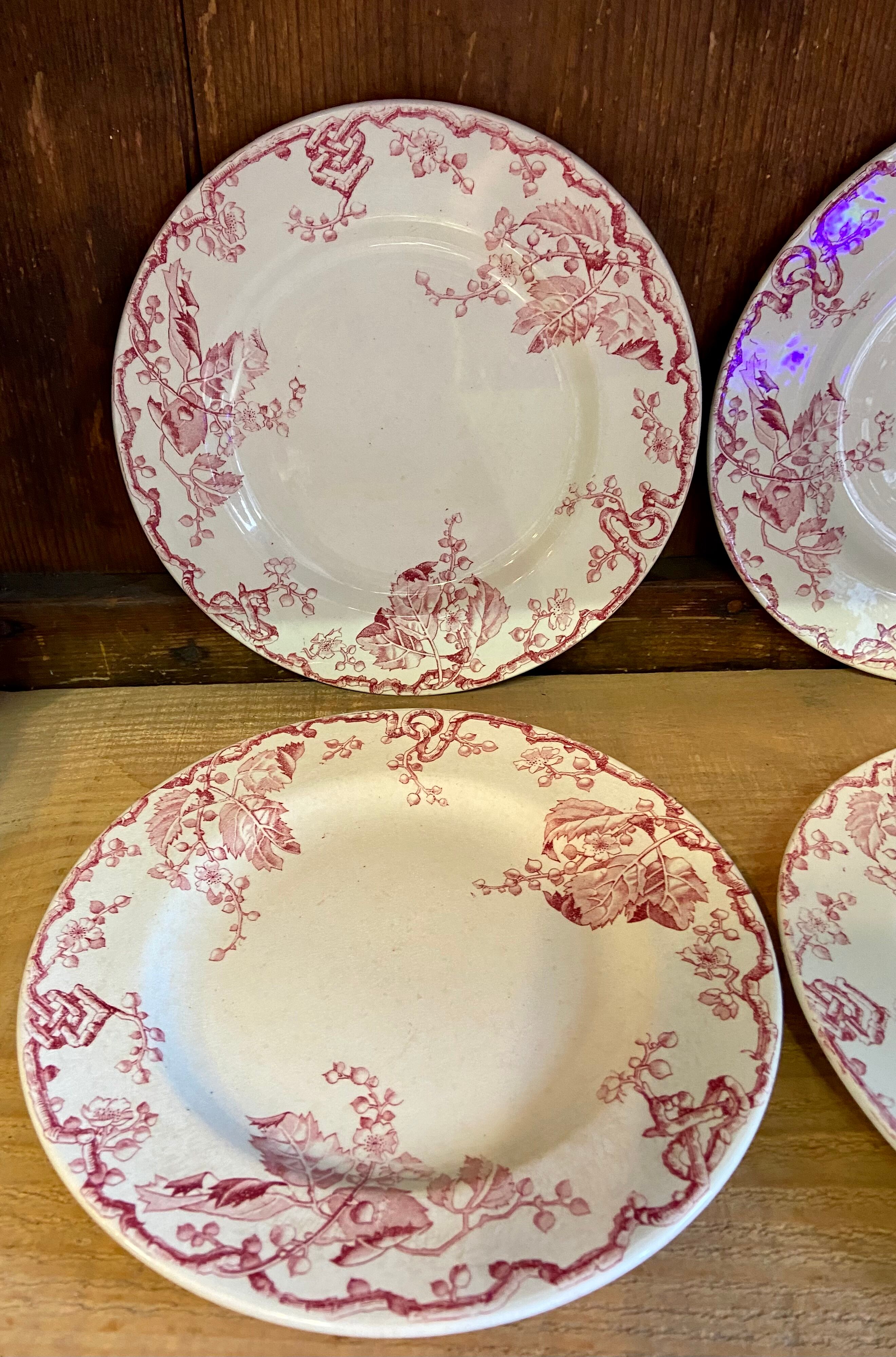 10 plates Terre de Fer Rouge