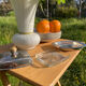 Silver metal glans butter dish