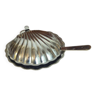 Beurrier coquillage