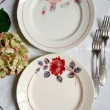 Old flat plates mismatched in earthenware