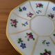 Limoges Porcelain Cup with Decor of Barbel Fish and Roses