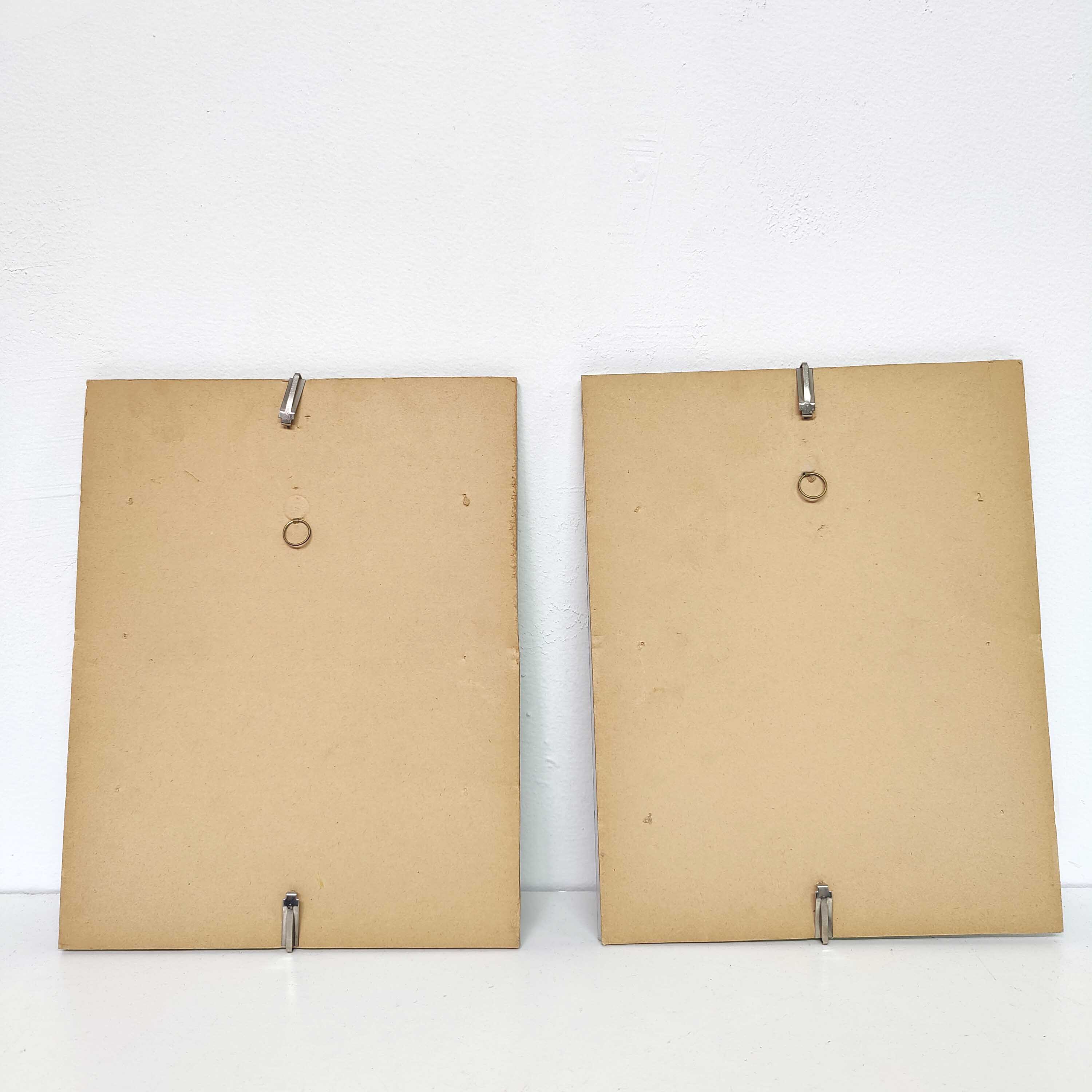 Lot 2 Frames botanical illustration flower rose