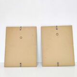 Lot 2 Frames botanical illustration flower rose