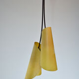 Chandelier by Josef Hurka, model 1209, 1960 for Napako