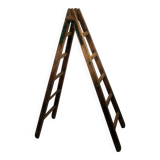 Painter's ladder