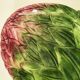 Vintage Italian slipware bowl – artichoke in bloom