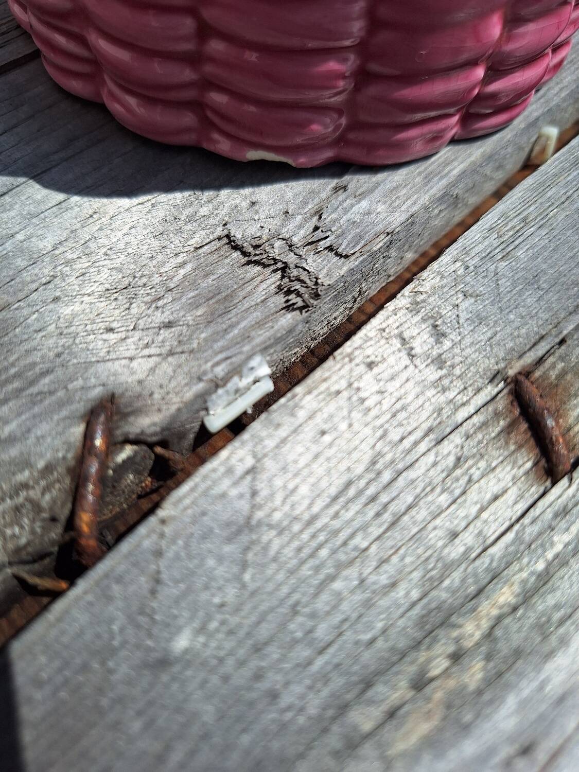 Costa Slush Candy Box