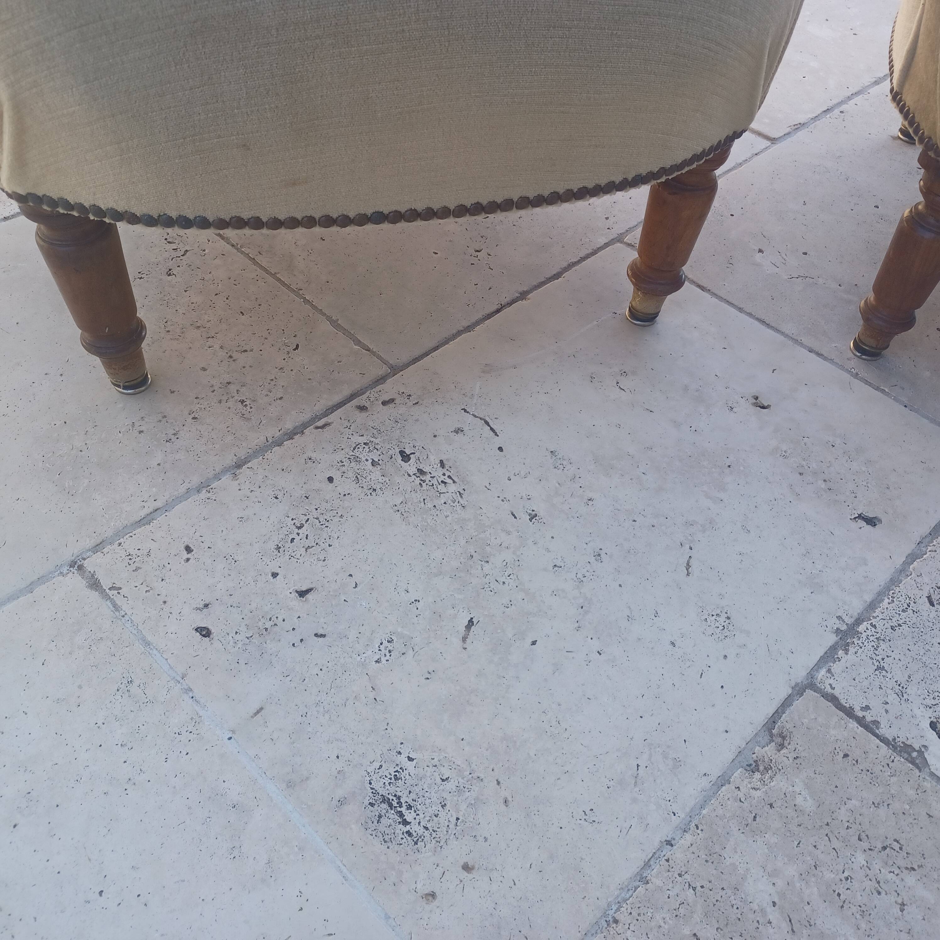 Frog armchairs