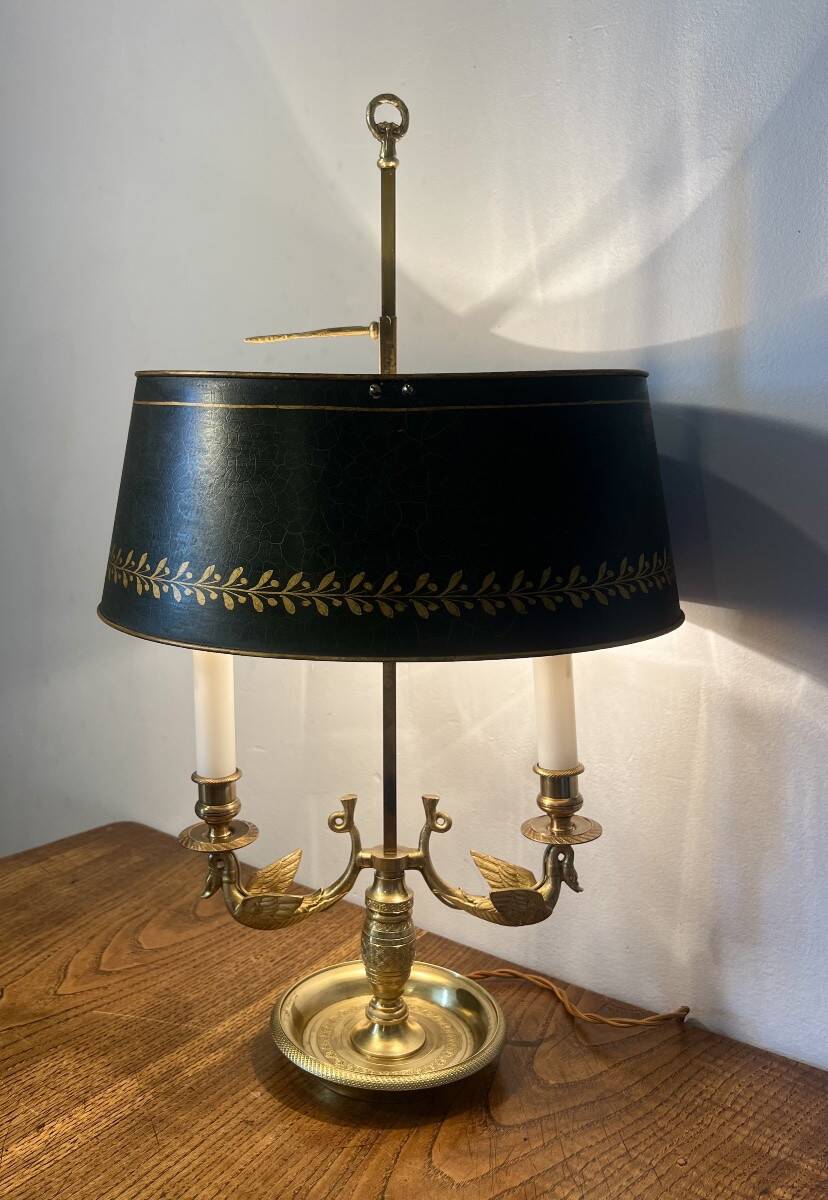 Lampe bouillotte cygnes