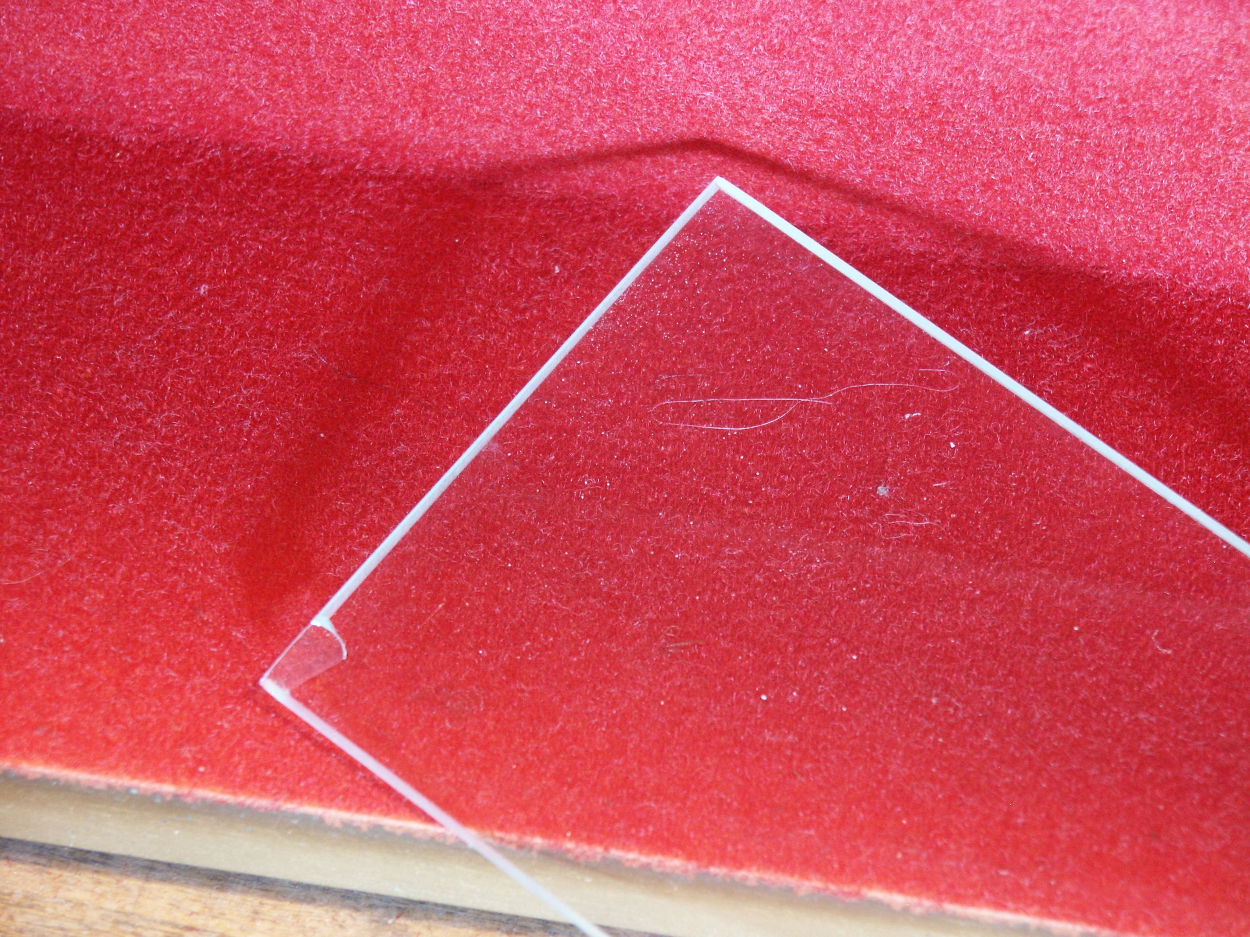 Wall showcase for collections