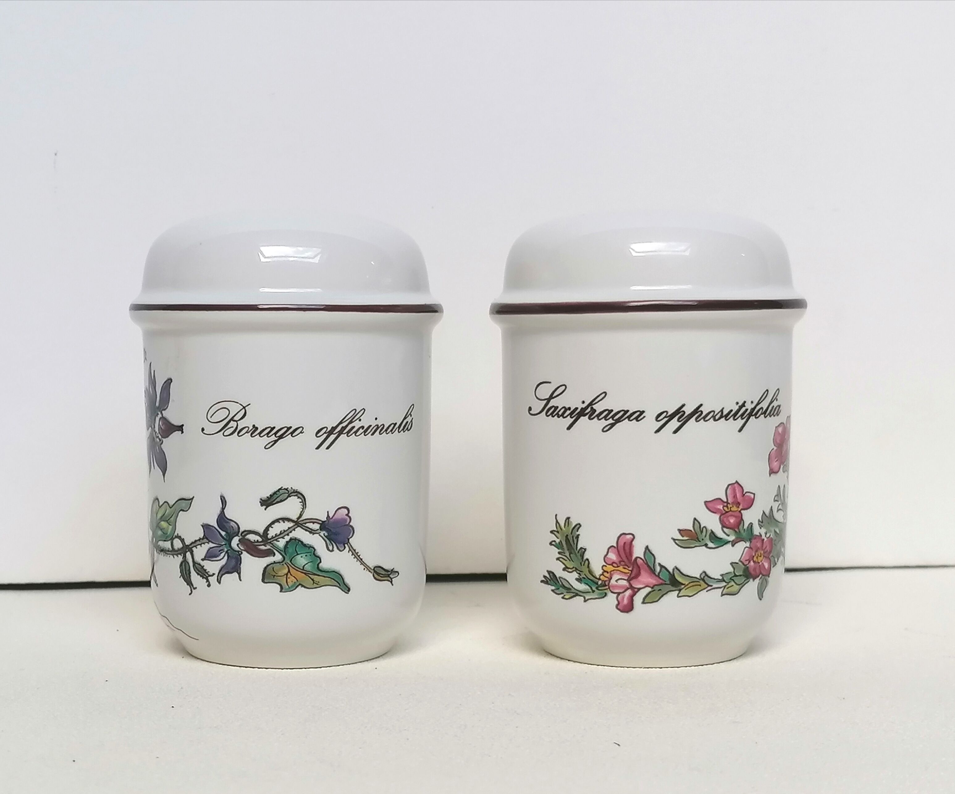 Salière and pepper shaker Villeroy and Boch botanical decoration