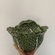 Chou soup tureen