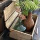 Old wooden box