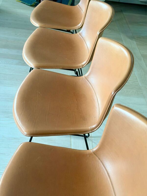 Lot de 4 chaises chaises Bertoia
