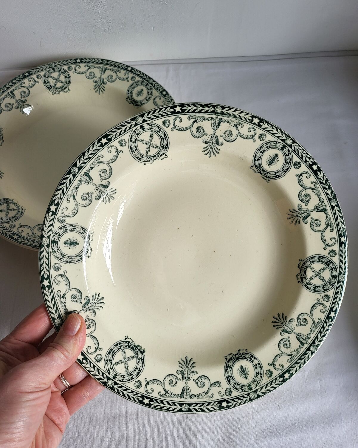 11 Deep Plates Ironstone Salins Cambacérès Decor