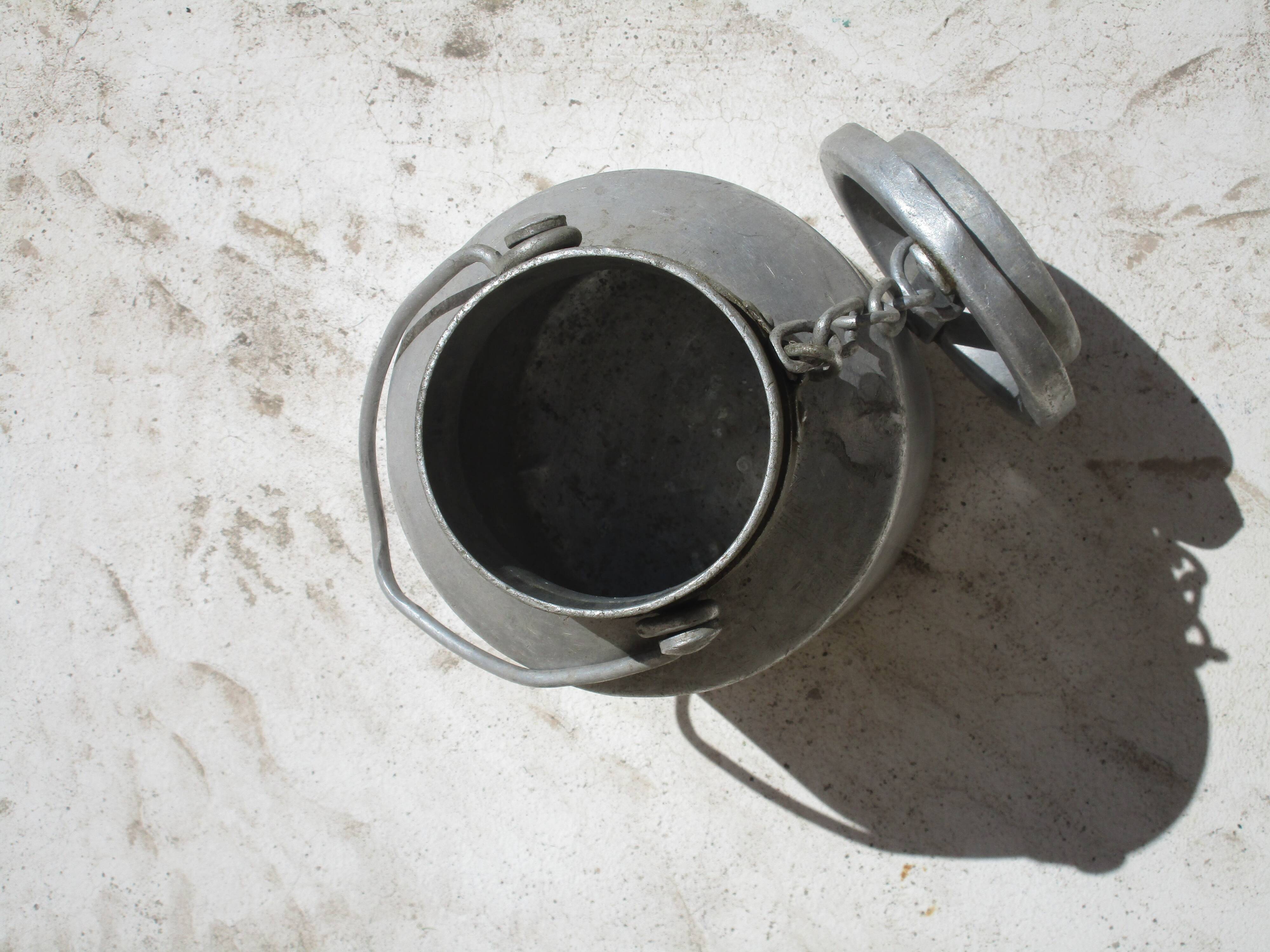 Pot a milk model while alu