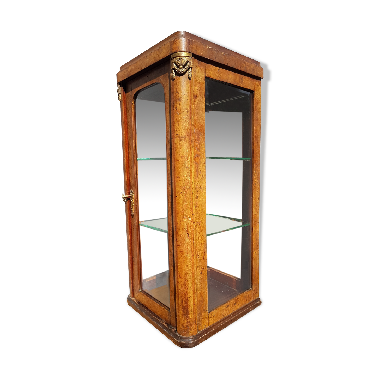 Curiosity cabinet showcase 1900