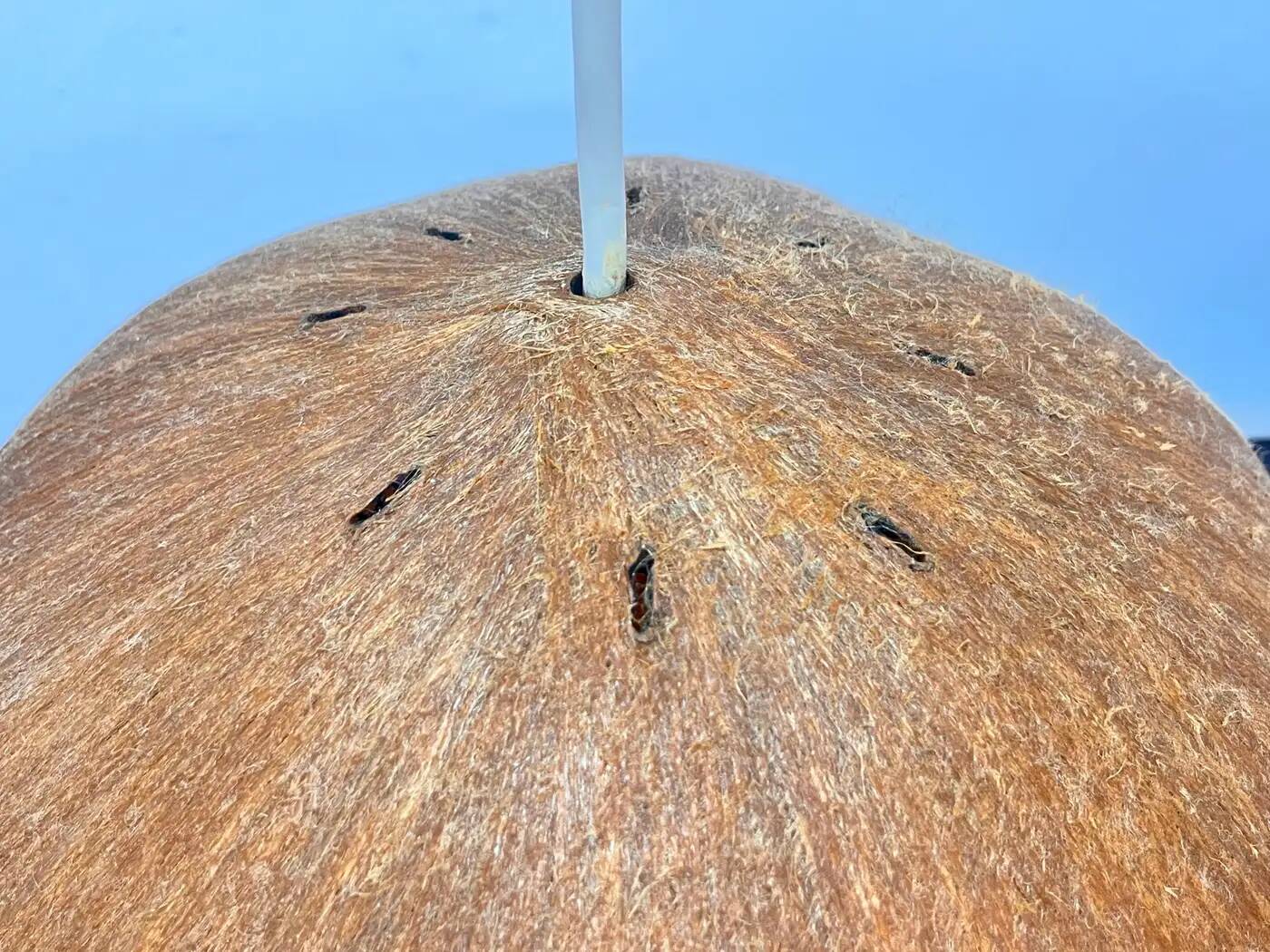 Beautiful design midcentury cocoon resin pendant, 1950s