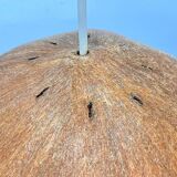 Beautiful design midcentury cocoon resin pendant, 1950s